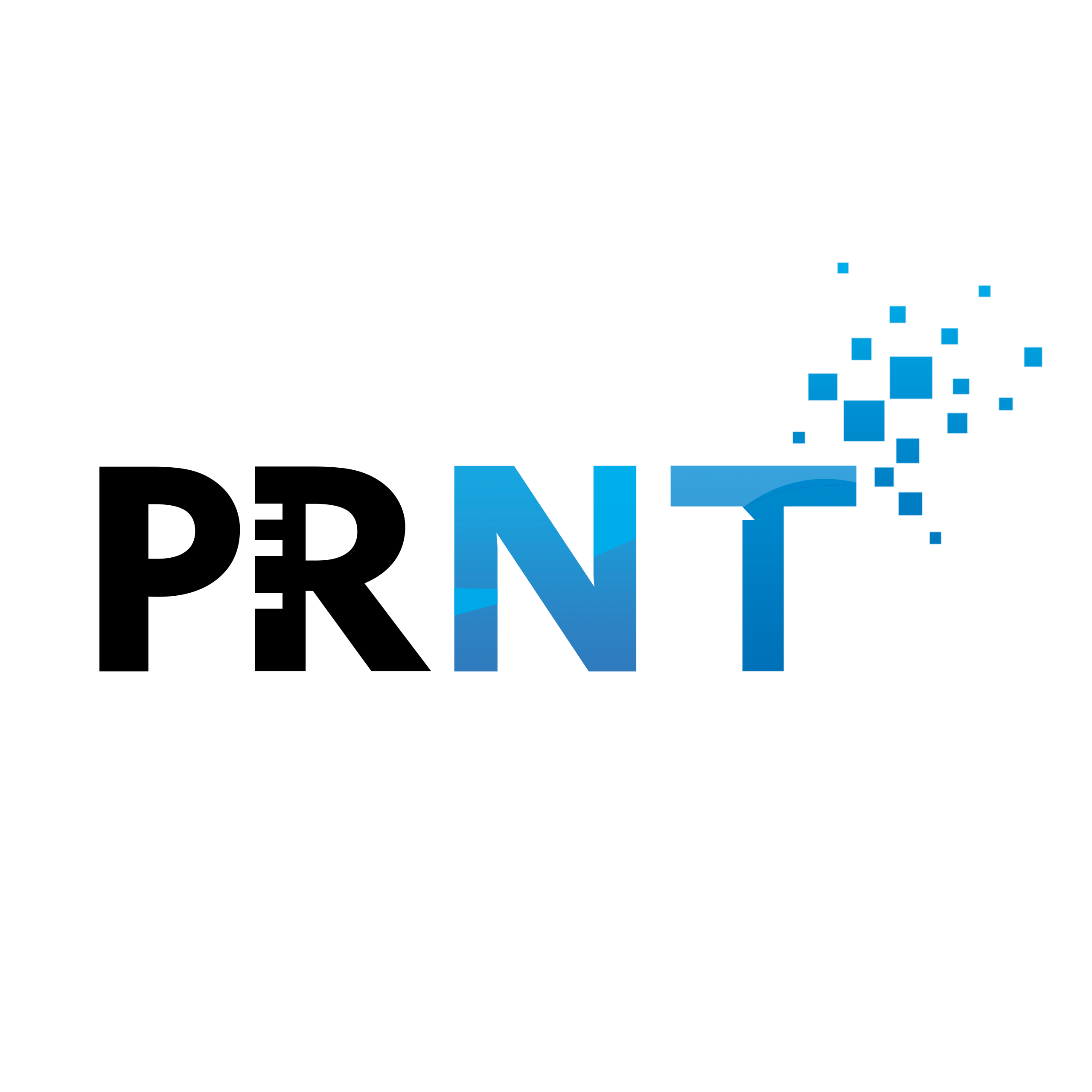 PRNT Baskı